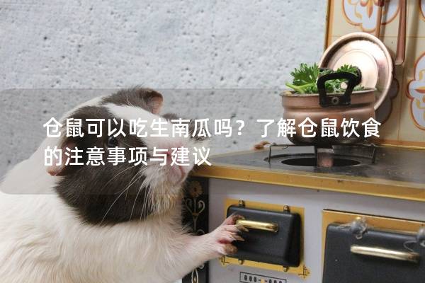 仓鼠可以吃生南瓜吗？了解仓鼠饮食的注意事项与建议