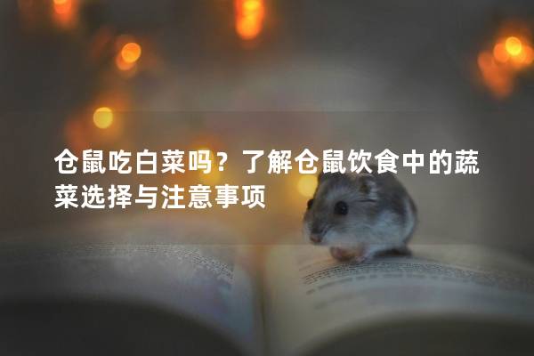 仓鼠吃白菜吗？了解仓鼠饮食中的蔬菜选择与注意事项