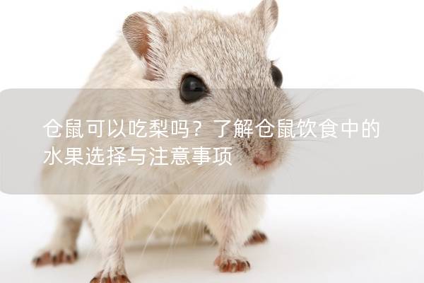 仓鼠可以吃梨吗？了解仓鼠饮食中的水果选择与注意事项