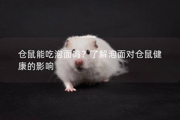 仓鼠能吃泡面吗？了解泡面对仓鼠健康的影响