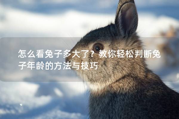 怎么看兔子多大了？教你轻松判断兔子年龄的方法与技巧