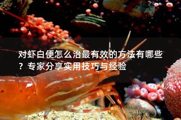 对虾白便怎么治最有效的方法有哪些？专家分享实用技巧与经验