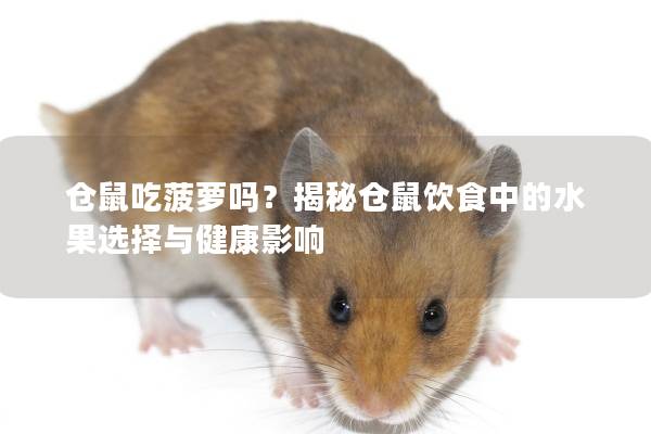 仓鼠吃菠萝吗？揭秘仓鼠饮食中的水果选择与健康影响