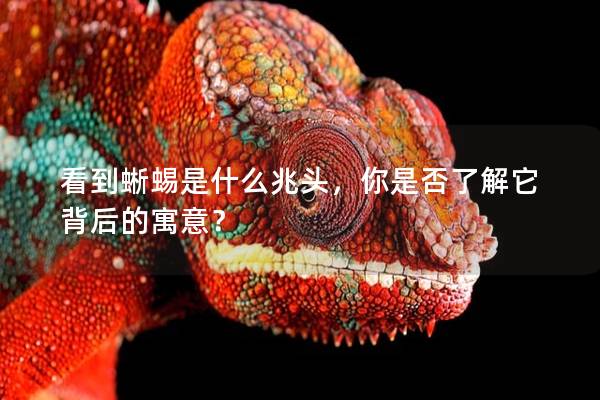 看到蜥蜴是什么兆头，你是否了解它背后的寓意？
