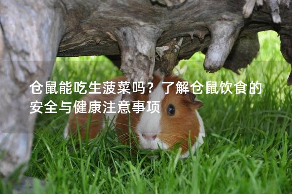 仓鼠能吃生菠菜吗？了解仓鼠饮食的安全与健康注意事项