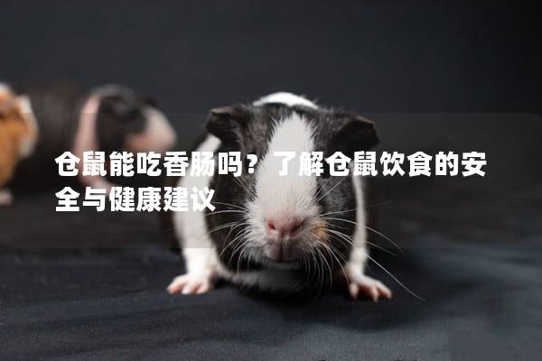 仓鼠能吃香肠吗？了解仓鼠饮食的安全与健康建议