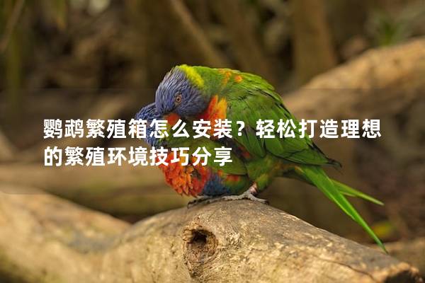 鹦鹉繁殖箱怎么安装？轻松打造理想的繁殖环境技巧分享