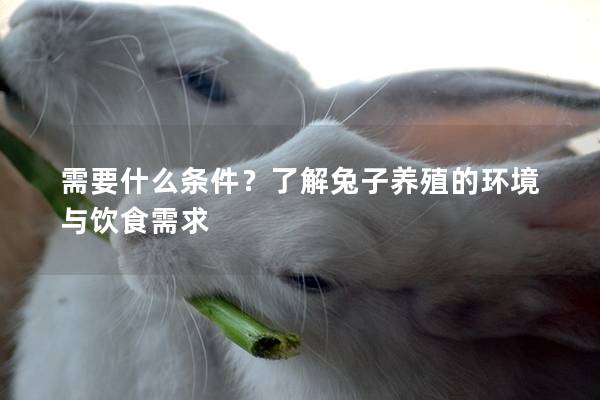 需要什么条件？了解兔子养殖的环境与饮食需求