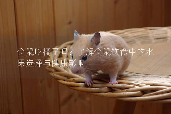 仓鼠吃橘子吗？了解仓鼠饮食中的水果选择与健康影响