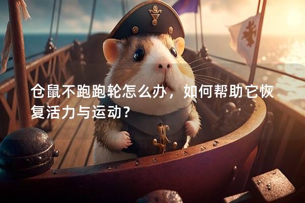 仓鼠不跑跑轮怎么办，如何帮助它恢复活力与运动？