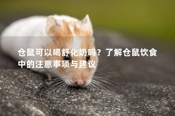 仓鼠可以喝舒化奶吗？了解仓鼠饮食中的注意事项与建议