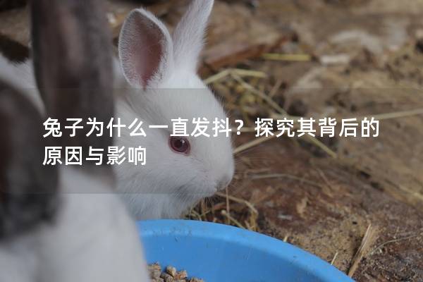 兔子为什么一直发抖？探究其背后的原因与影响
