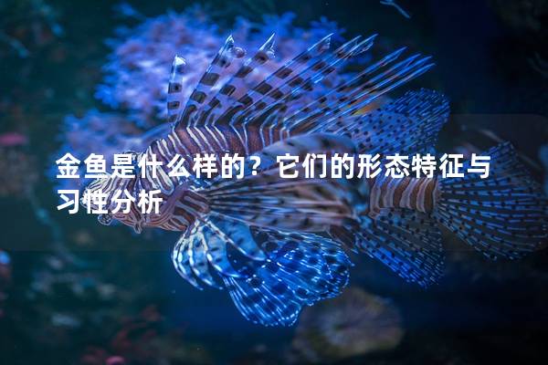 金鱼是什么样的？它们的形态特征与习性分析