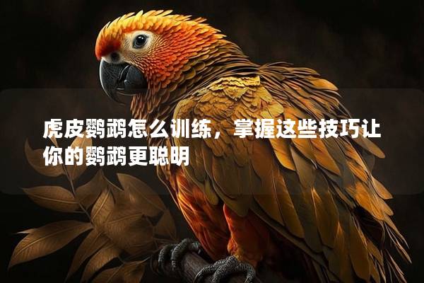 虎皮鹦鹉怎么训练，掌握这些技巧让你的鹦鹉更聪明
