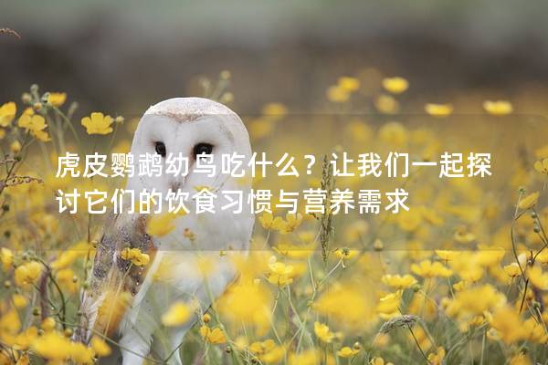 虎皮鹦鹉幼鸟吃什么？让我们一起探讨它们的饮食习惯与营养需求