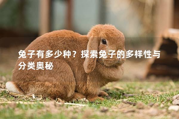 兔子有多少种？探索兔子的多样性与分类奥秘