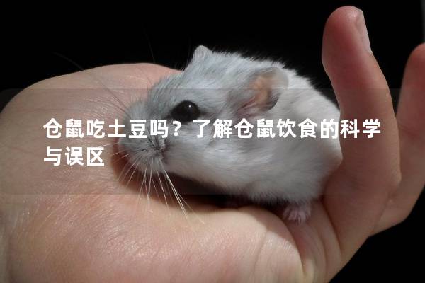 仓鼠吃土豆吗？了解仓鼠饮食的科学与误区