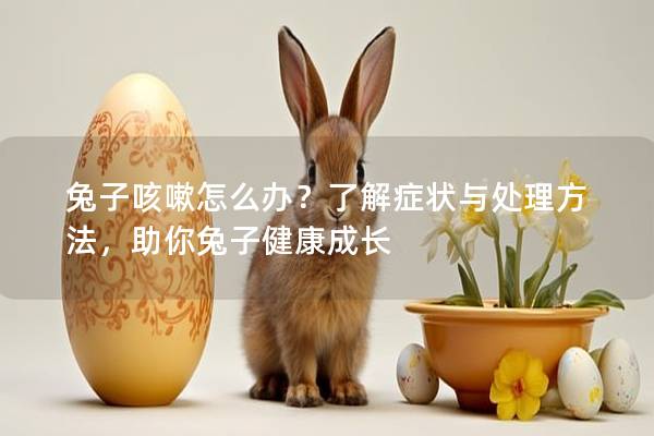 兔子咳嗽怎么办？了解症状与处理方法，助你兔子健康成长