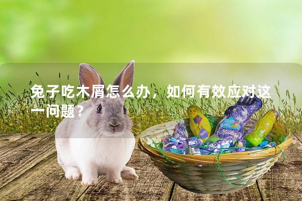 兔子吃木屑怎么办，如何有效应对这一问题？