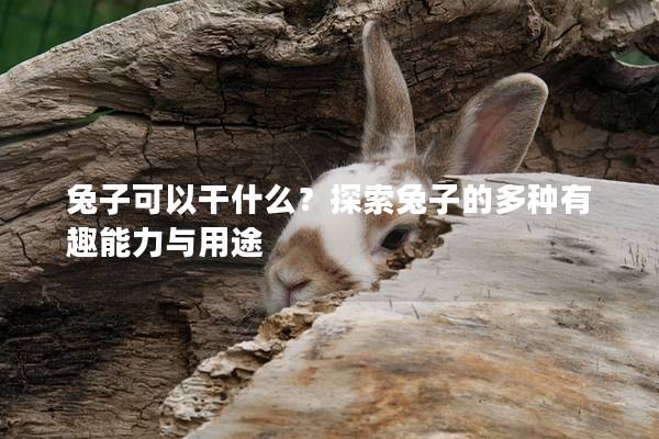兔子可以干什么？探索兔子的多种有趣能力与用途