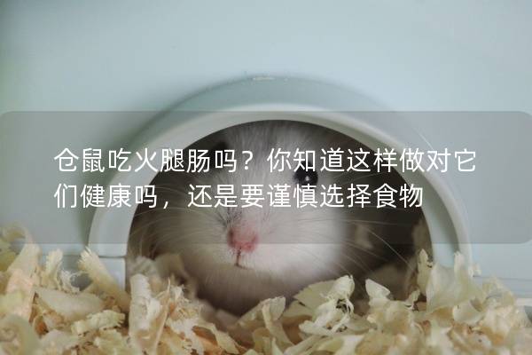 仓鼠吃火腿肠吗？你知道这样做对它们健康吗，还是要谨慎选择食物