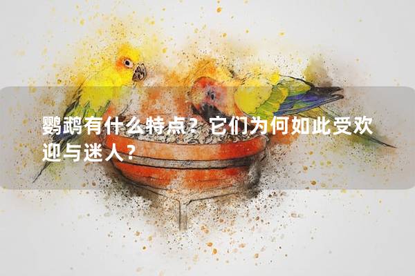 鹦鹉有什么特点？它们为何如此受欢迎与迷人？