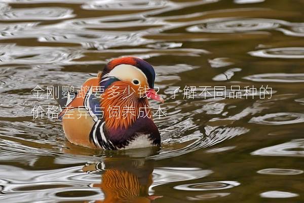 金刚鹦鹉要多少钱？了解不同品种的价格差异与饲养成本