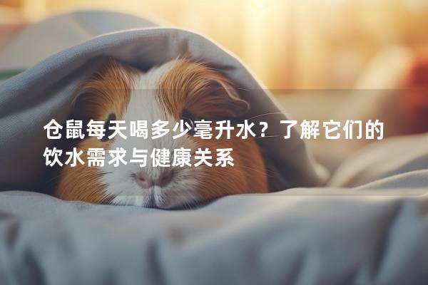 仓鼠每天喝多少毫升水？了解它们的饮水需求与健康关系