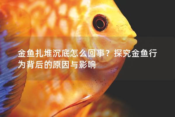 金鱼扎堆沉底怎么回事？探究金鱼行为背后的原因与影响