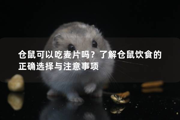 仓鼠可以吃麦片吗？了解仓鼠饮食的正确选择与注意事项