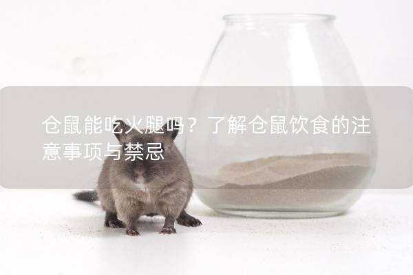 仓鼠能吃火腿吗？了解仓鼠饮食的注意事项与禁忌