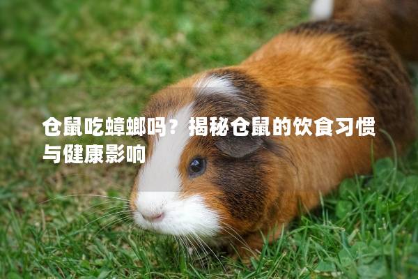 仓鼠吃蟑螂吗？揭秘仓鼠的饮食习惯与健康影响