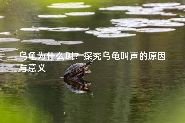 乌龟为什么叫？探究乌龟叫声的原因与意义