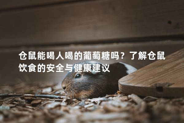 仓鼠能喝人喝的葡萄糖吗？了解仓鼠饮食的安全与健康建议