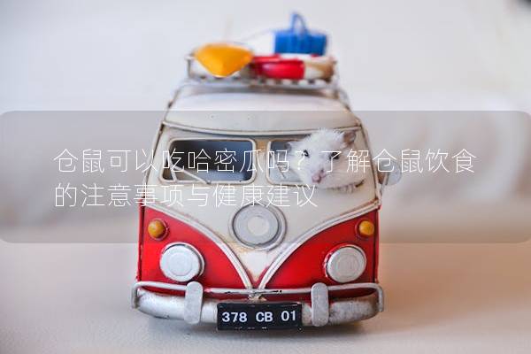 仓鼠可以吃哈密瓜吗？了解仓鼠饮食的注意事项与健康建议