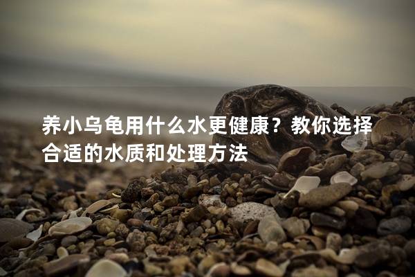 养小乌龟用什么水更健康？教你选择合适的水质和处理方法