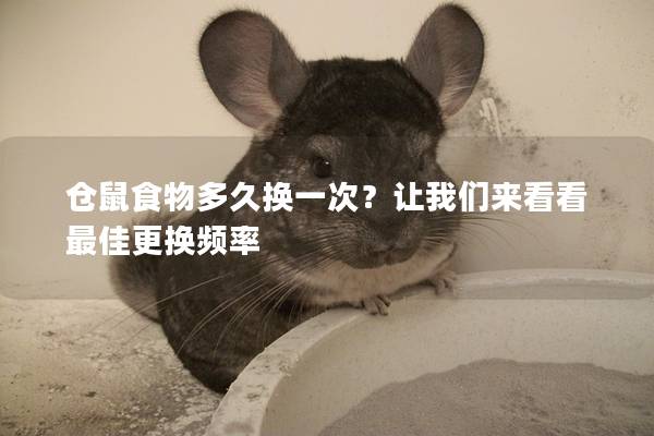 仓鼠食物多久换一次？让我们来看看最佳更换频率
