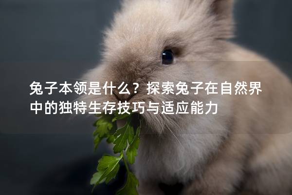 兔子本领是什么？探索兔子在自然界中的独特生存技巧与适应能力
