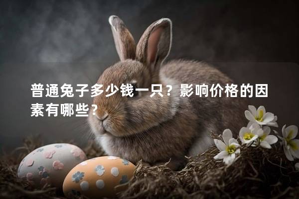 普通兔子多少钱一只？影响价格的因素有哪些？