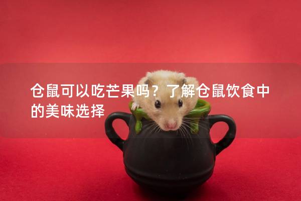仓鼠可以吃芒果吗？了解仓鼠饮食中的美味选择