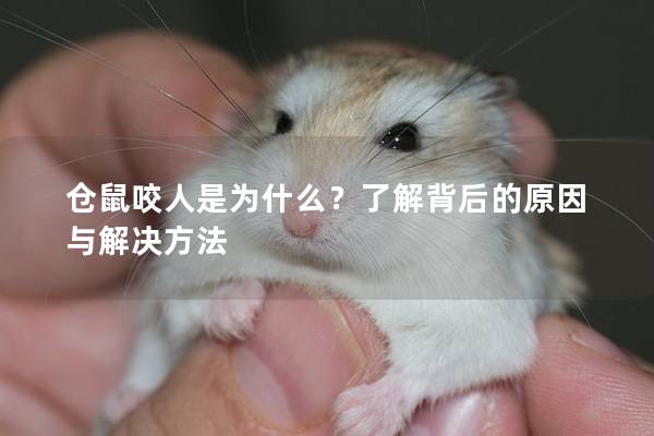 仓鼠咬人是为什么？了解背后的原因与解决方法