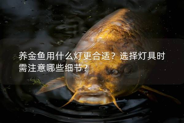 养金鱼用什么灯更合适？选择灯具时需注意哪些细节？