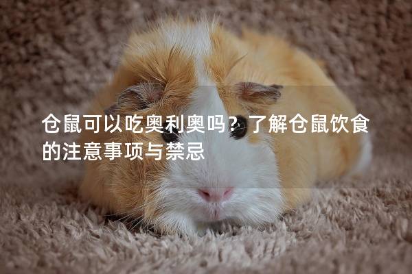 仓鼠可以吃奥利奥吗？了解仓鼠饮食的注意事项与禁忌