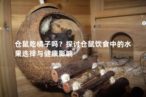 仓鼠吃橘子吗？探讨仓鼠饮食中的水果选择与健康影响