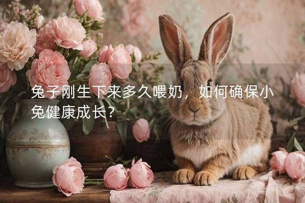 兔子刚生下来多久喂奶，如何确保小兔健康成长？