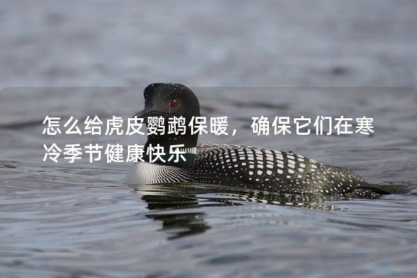 怎么给虎皮鹦鹉保暖，确保它们在寒冷季节健康快乐