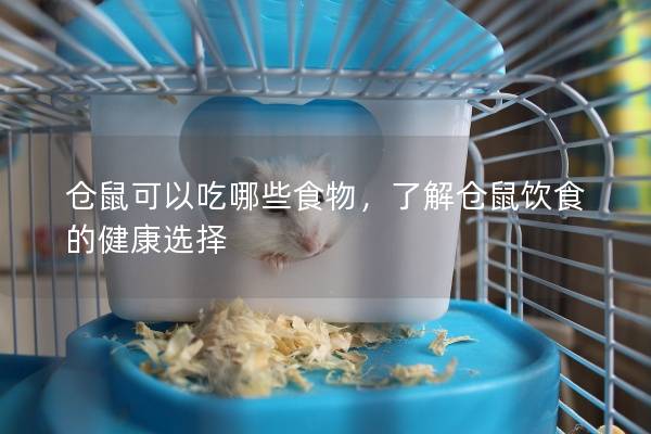 仓鼠可以吃哪些食物，了解仓鼠饮食的健康选择