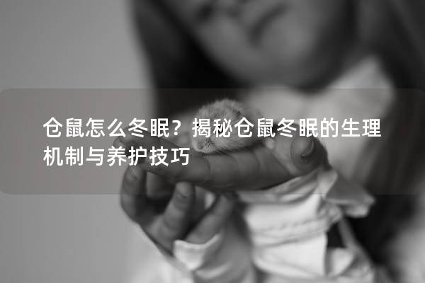 仓鼠怎么冬眠？揭秘仓鼠冬眠的生理机制与养护技巧