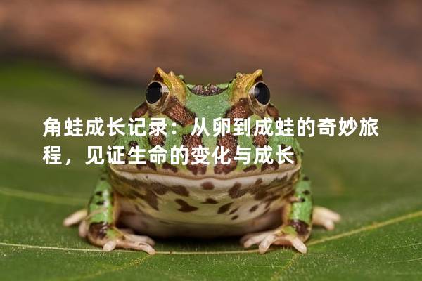 角蛙成长记录：从卵到成蛙的奇妙旅程，见证生命的变化与成长