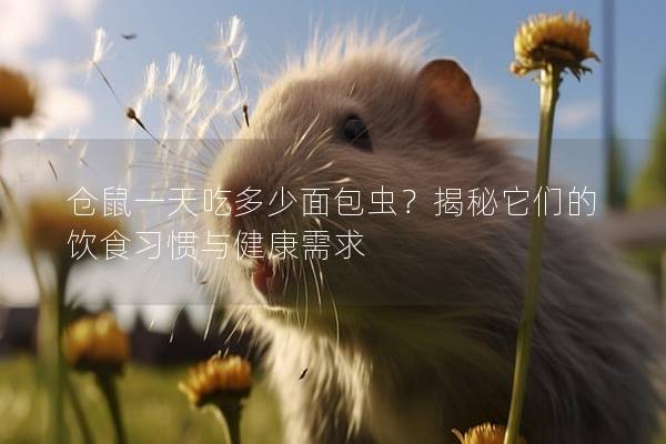 仓鼠一天吃多少面包虫？揭秘它们的饮食习惯与健康需求